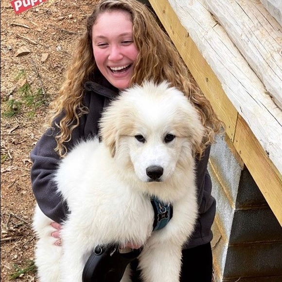 Meet your Posher, Lindsay - Picture 1 of 1